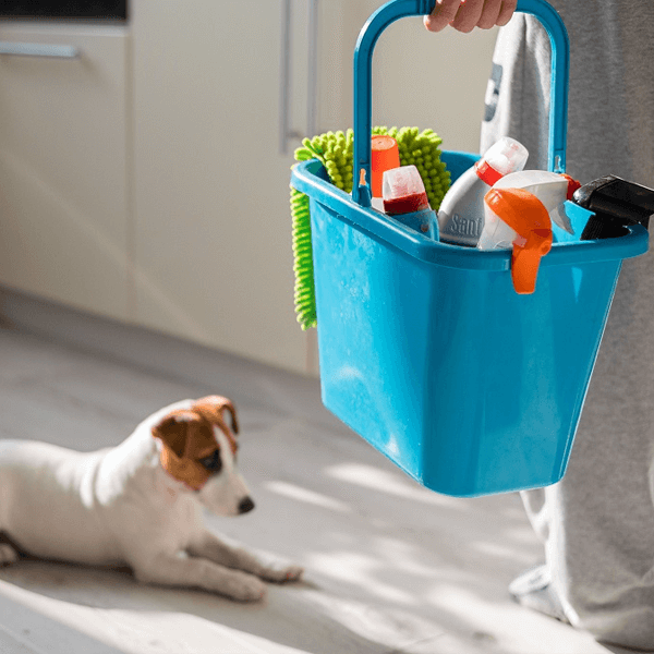 Balçova’da Evcil Hayvan Sahipleri İçin Özel Ev Temizliği Taktikleri : Kapak Görseli